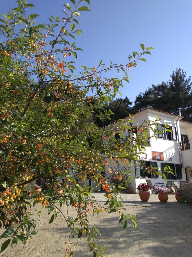 Eri Rooms to Let Raches  Buitenkant foto